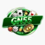 GN55 Game