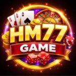 HM77 Game