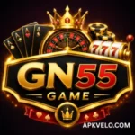 GN55