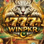 WINPKR777